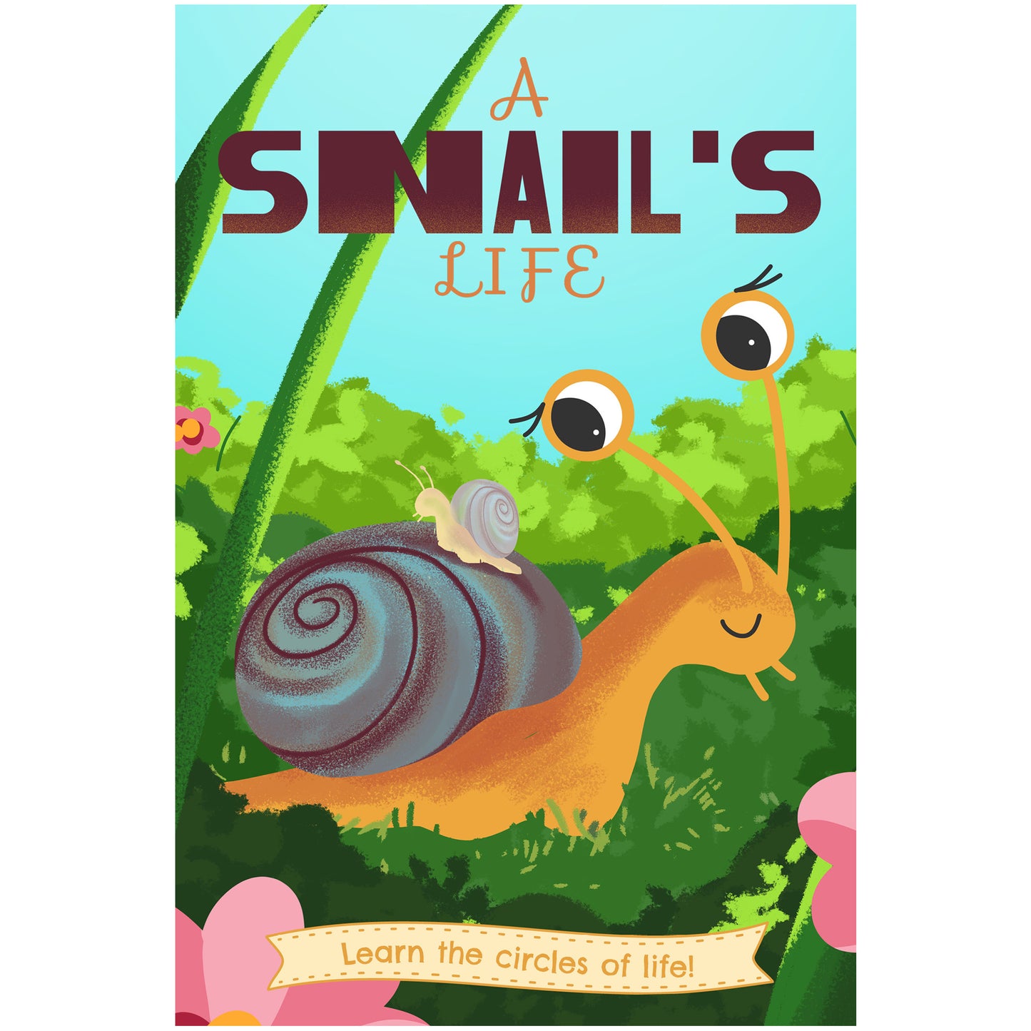 A Snail's Life