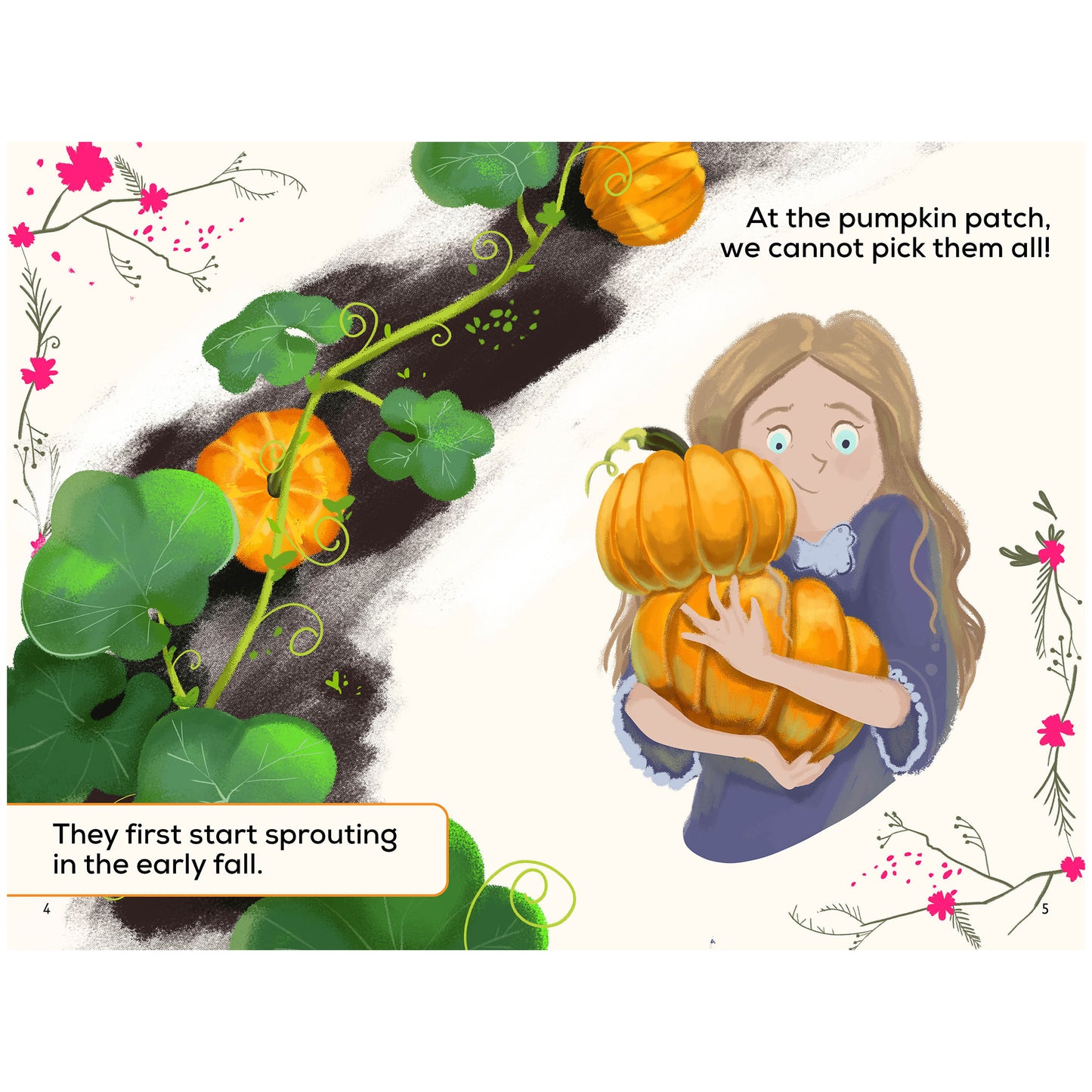 A Pumpkin's Life