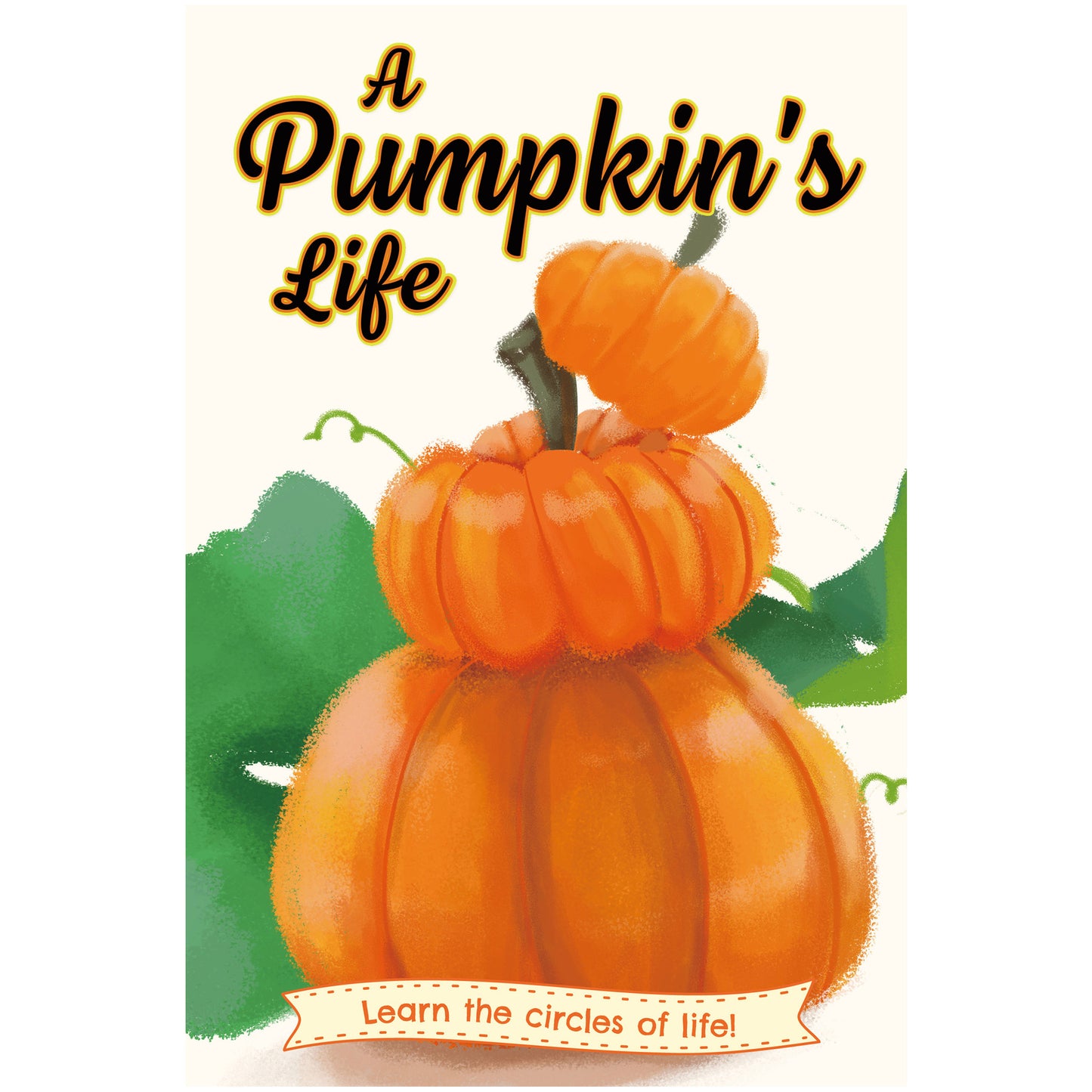 A Pumpkin's Life