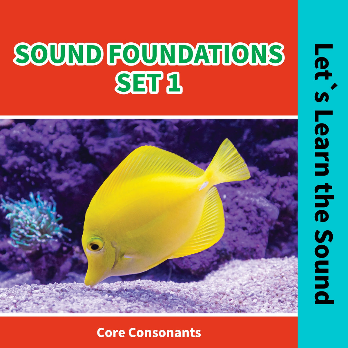 Solid Sound Foundation Sound Foundations 1: Let's Learn the Sound / Core Consonants – Read ...