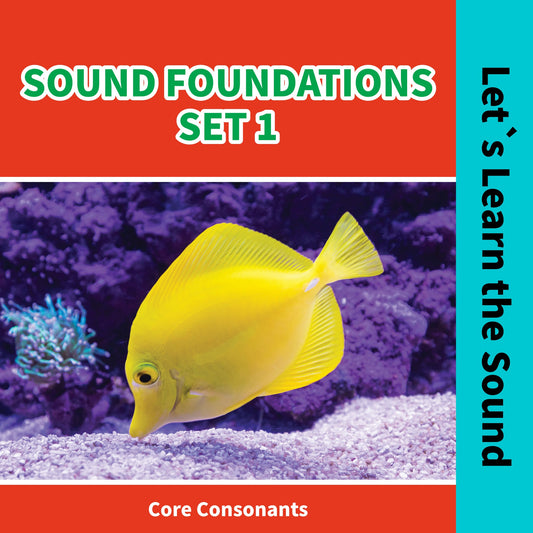 Sound Foundations 1: Let's Learn the Sound / Core Consonants