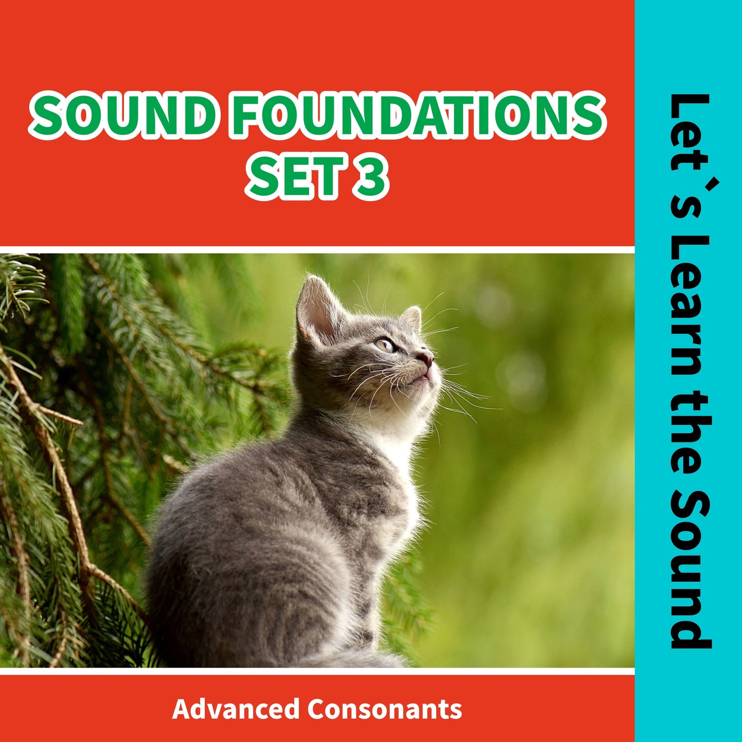 Sound Foundations 3: Let's Learn the Sound / Advanced Consonants