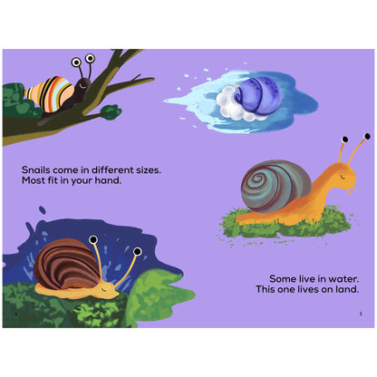 A Snail's Life