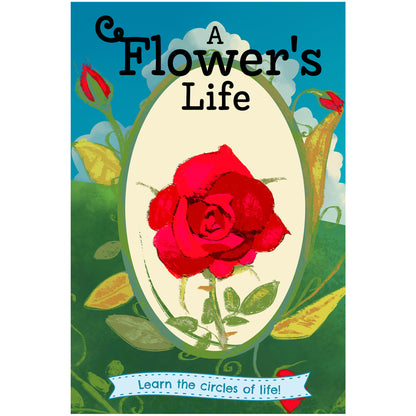 A Flower's Life