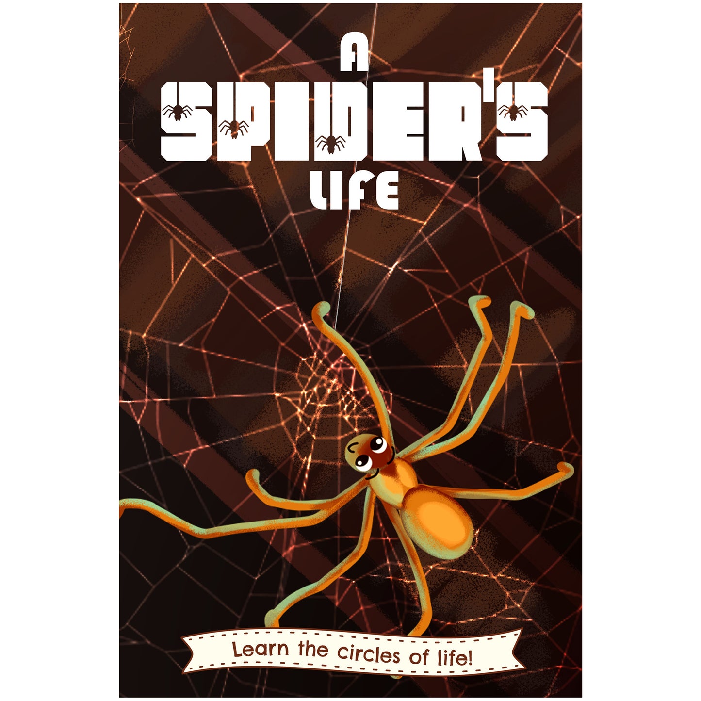 A Spider's Life