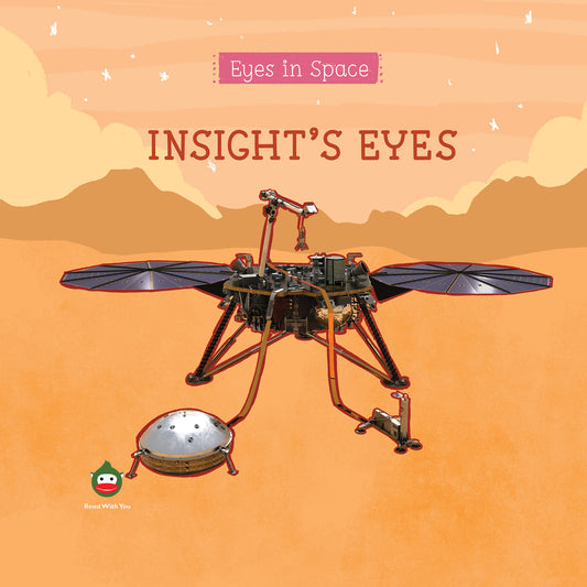 InSight's Eyes