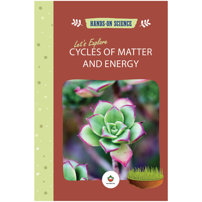 Let's Explore Cycles of Matter and Energy