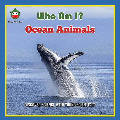 Ocean Animals